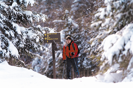 Dans la forêt enchantée du mont Mégantic - Rémi Tremblay : Actualités  