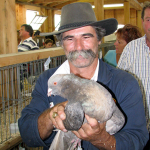 Des oiseaux rares dans le mail du Carrefour - Claudia Collard : Actualités  