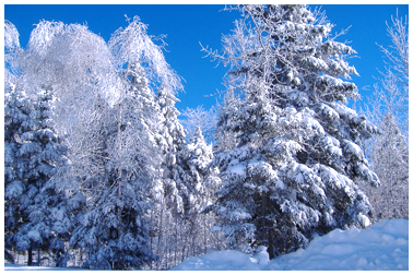 Un hiver doux aux allures féeriques - Rémi Tremblay : Actualités  