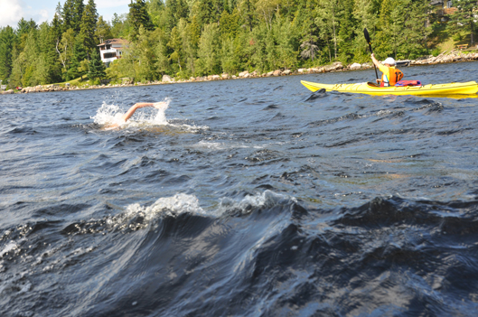 Coupe du monde de natation en eau libre - Rémi Tremblay : Actualités  