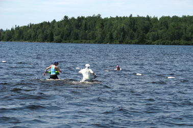 Des pépites d’or au lac aux Araignées? -   : Actualités  