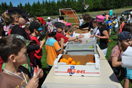Olympiades scolaires sous le soleil ! - Rémi Tremblay : Actualités  