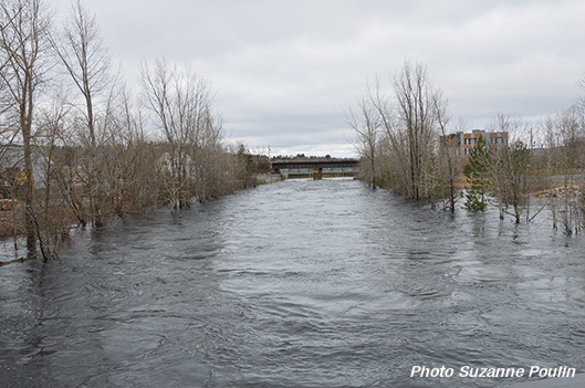 Haut débit au pont de la Solidarité - Rémi Tremblay : Actualités   La rivière Chaudière au 18 avril.
 