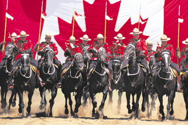 La cavalerie de retour les 31 mai et 1er juin - Claudia Collard : Actualités  