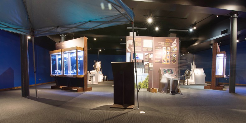 L’exposition Clovis au Musée de la nature et des sciences de Sherbrooke - Rémi Tremblay : Actualités  