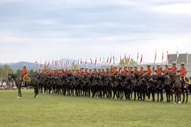 La cavalerie confère un air de fête à la ville - Claudia Collard : Actualités  