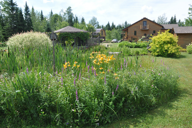 Si près et si rustiques, les Jardins du Soleil! - Rémi Tremblay : Actualités  