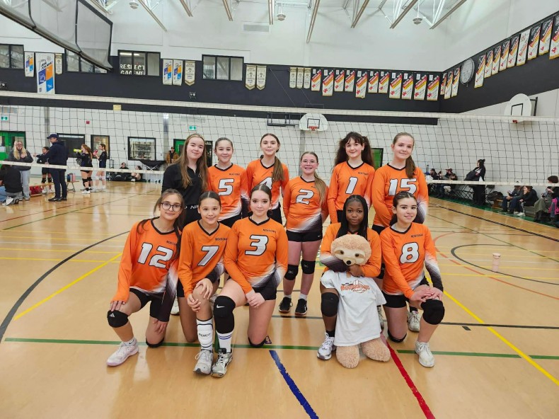 Les Mousquetaires en action -   : Sports volley-ball 