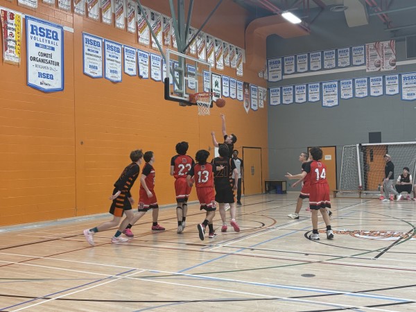 Basketball, victoire des Béliers cadets 54 à 22
