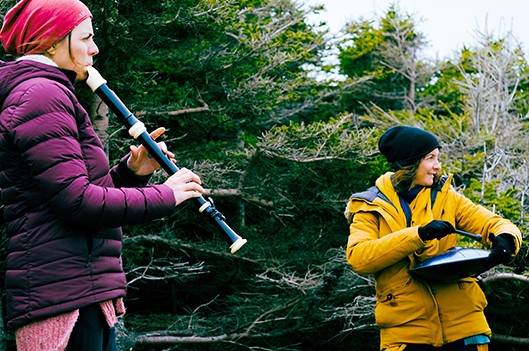 Belles envolées pour les Chemins Errants - Claudia Collard : Culture  