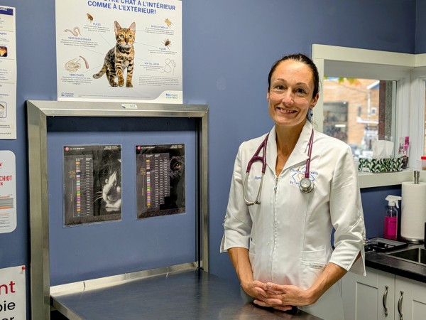 Campagne de vaccination contre la rage : la clinique vétérinaire de Lac-Mégantic veut vacciner un maximum d’animaux