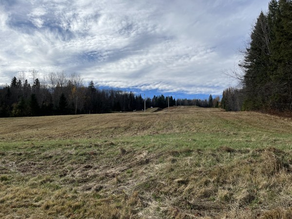 De la neige artificielle au mont Button