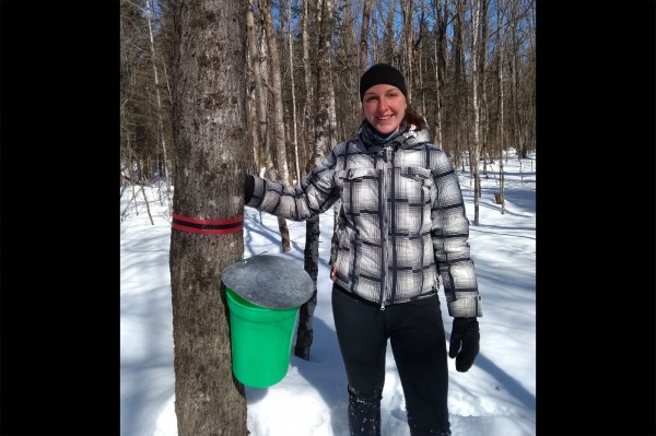 Des érables de Saint-Romain sous la loupe