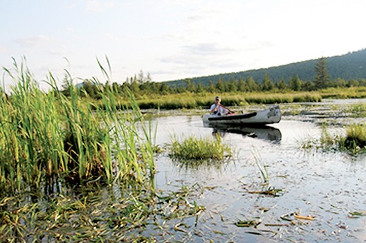 La santé du lac Mégantic et du marais compromise? - Rémi Tremblay : Actualités Environnement 