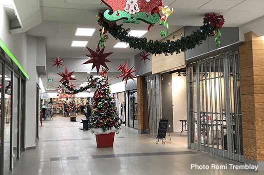 Le Carrefour se souhaite un «vrai» joyeux Noël! - Rémi Tremblay : Actualités Économie 