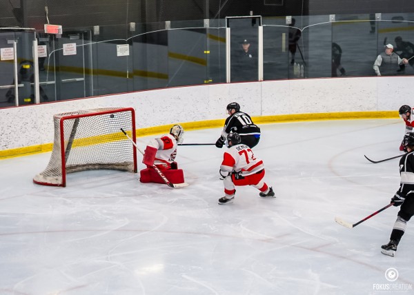 Le Sauro passe en demi-finale