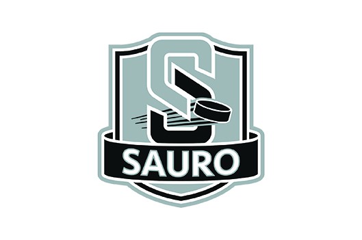 Le Sauro tire de l’arrière 2 à 0 contre Windsor