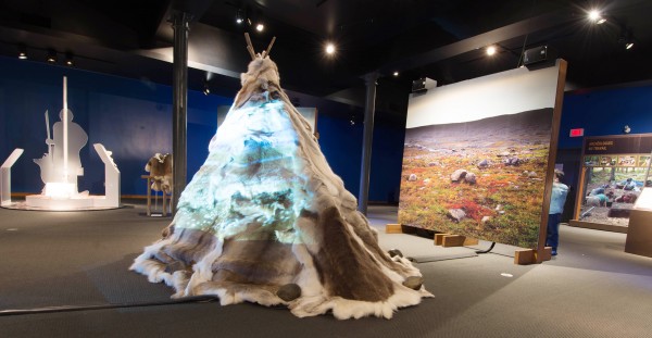 L’exposition Clovis au Musée de la nature et des sciences de Sherbrooke - Rémi Tremblay : Actualités  