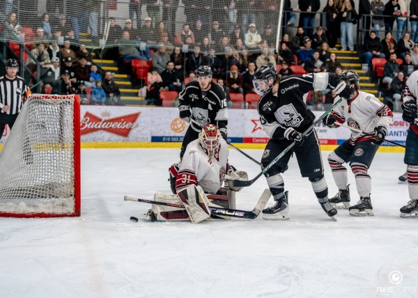 Série SAURO et DYNAMIK à égalité