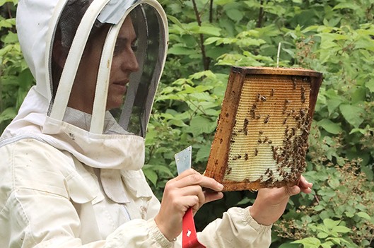 Une apicultrice sonne l’alerte en faveur de l’environnement